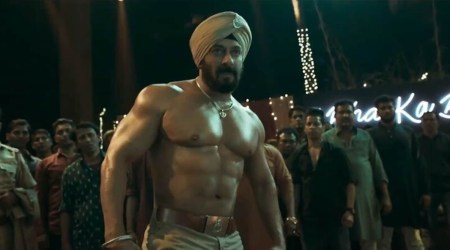 Antim box office collection