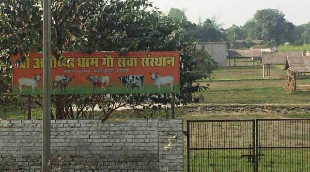 A land parcel measuring 5,174 sq m in Barhata Manjha village  bought for Rs 1.15 crore in November 2019  by nephew of Ayodhya city MLA Ved Prakash Gupta. (Express photo by Shyamlal Yadav)