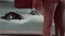 rohini court blast, delhi blast today, delhi news,