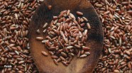 Nutrition Check Is Brown Rice Actually Healthier Than White Rice 
