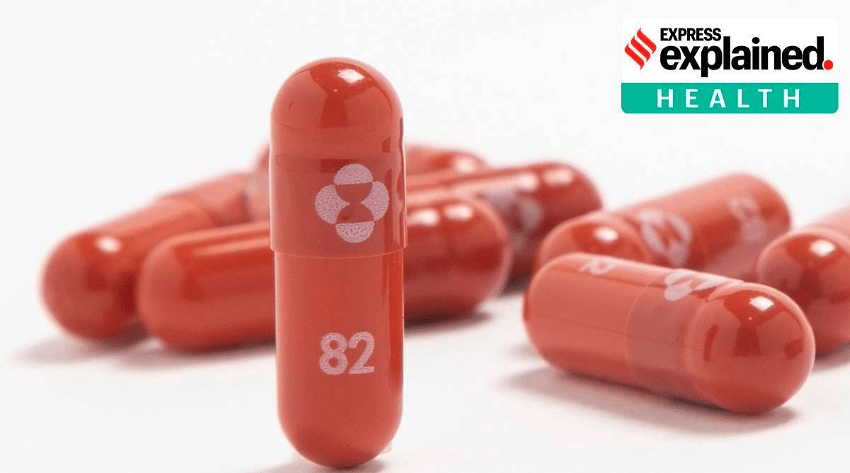 FILE - This undated photo provided by Merck &Co. shows their new antiviral medication molnupiravir. (AP)