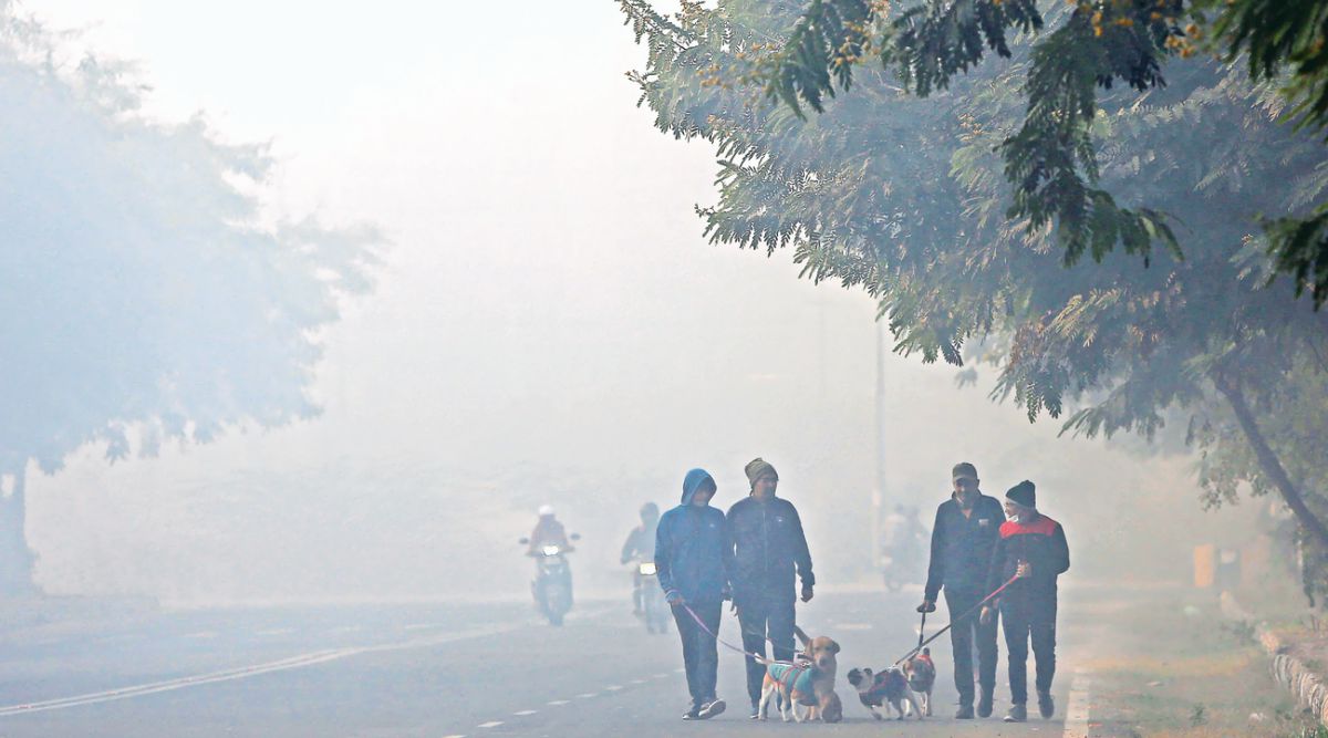 Delhi gets first spell of winter rain Delhi News The Indian Express