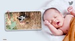 chhattisgarh, dog protect newborn baby, dog guards abandoned newborn, viral news, good news, indian express