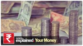 ESG funds, ESG investing, Investment news, Investors news, Explained, Indian Express, National Stock Exchange NSE, NSE Prime, Indian Express Explained, Current affairs, business news