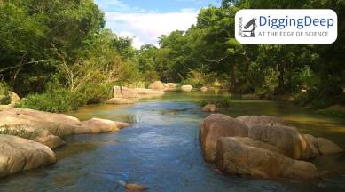 River flow