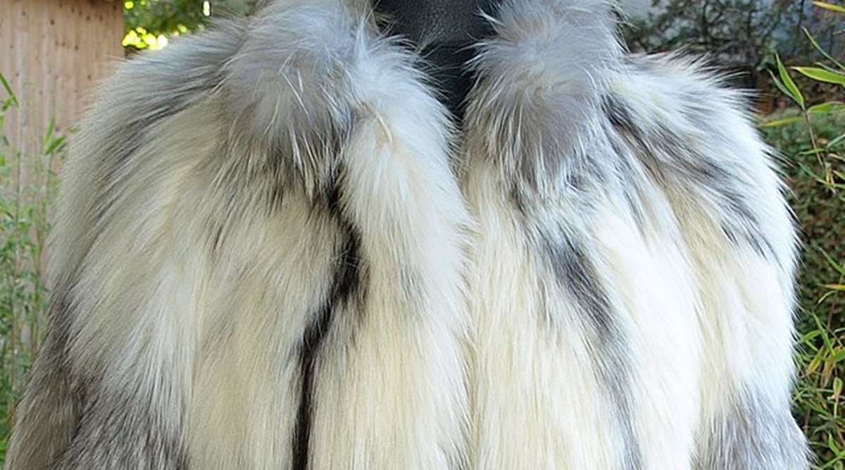 ELLE magazine bans fur in all its titles to support animal welfare ...
