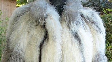fur