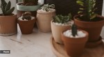 home-decor-pexels