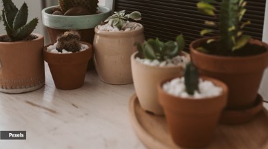 home-decor-pexels