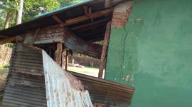 In Madhya Pradesh, experts meet today on surge in human-elephant conflict