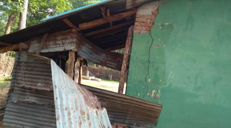 In Madhya Pradesh, experts meet today on surge in human-elephant conflict