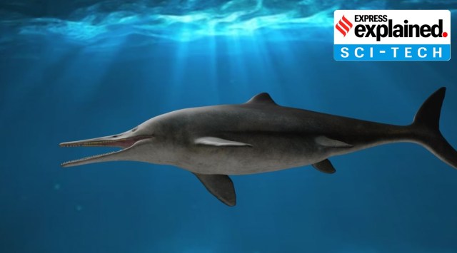 A reconstruction of the species. (Dirley Cortés via McGill University)