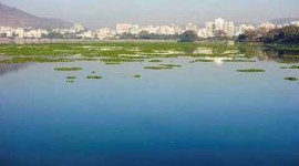 pashan lake, pune lake, pune news