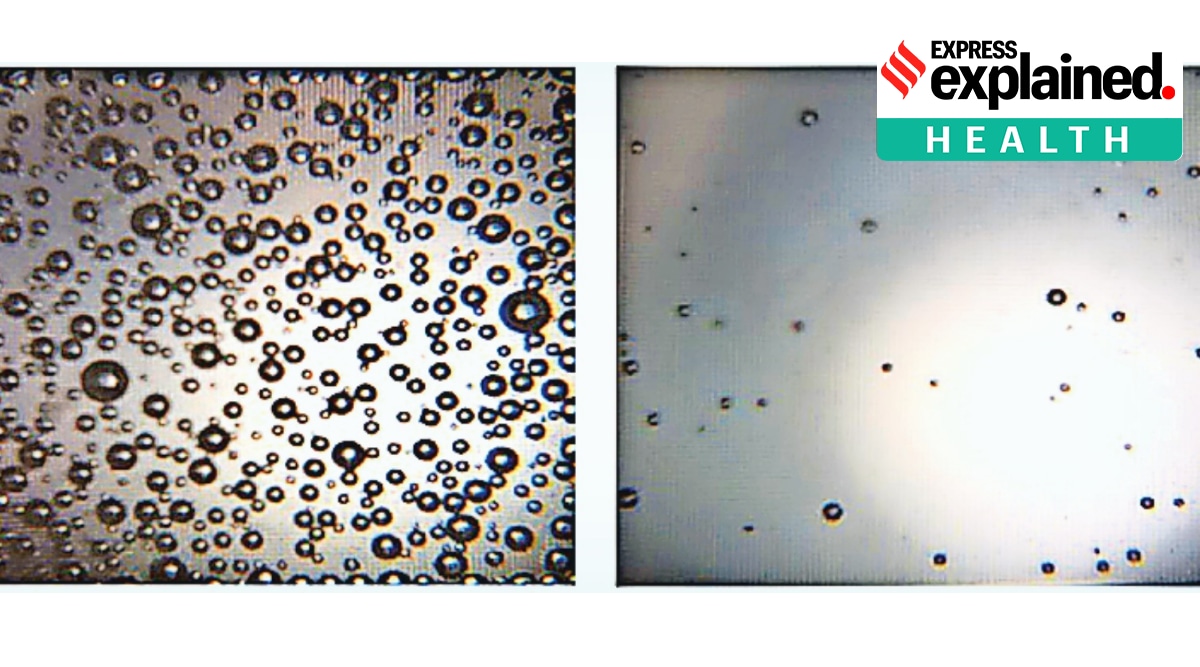 Coronavirus chewing gum, chewing gum for Covid, Covid gum, Indian Express