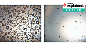 New research: A plant-based chewing gum that ‘traps’ coronavirus