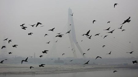 delhi news, delhi aqi, delhi pollution, delhi pollution improvement