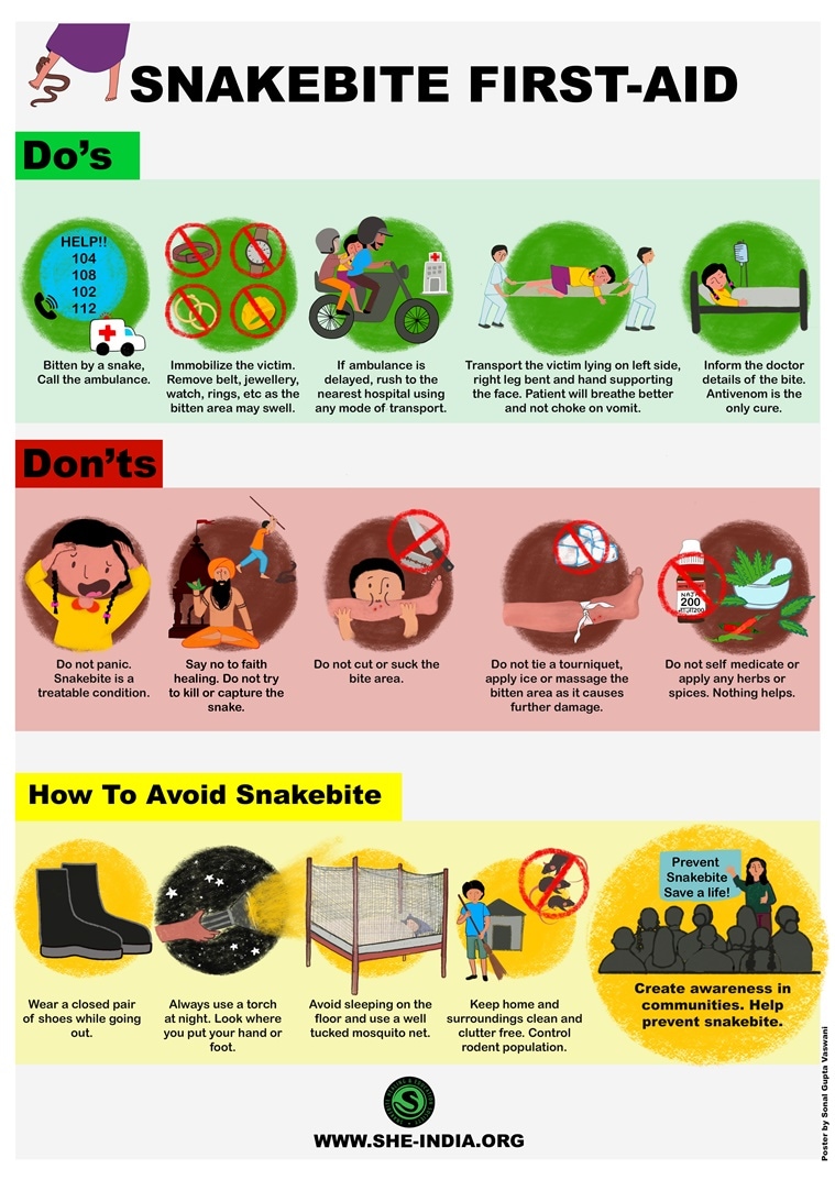 Snakebite first aid Essential dos and don’ts Health News The