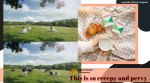 Seoul milk, south korean milk brand, seoul milk women cow ad, seoul milk spy camera ad, viral news, odd news, indian express