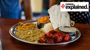 When ‘veg’ is ‘non-veg’: what Delhi High Court said