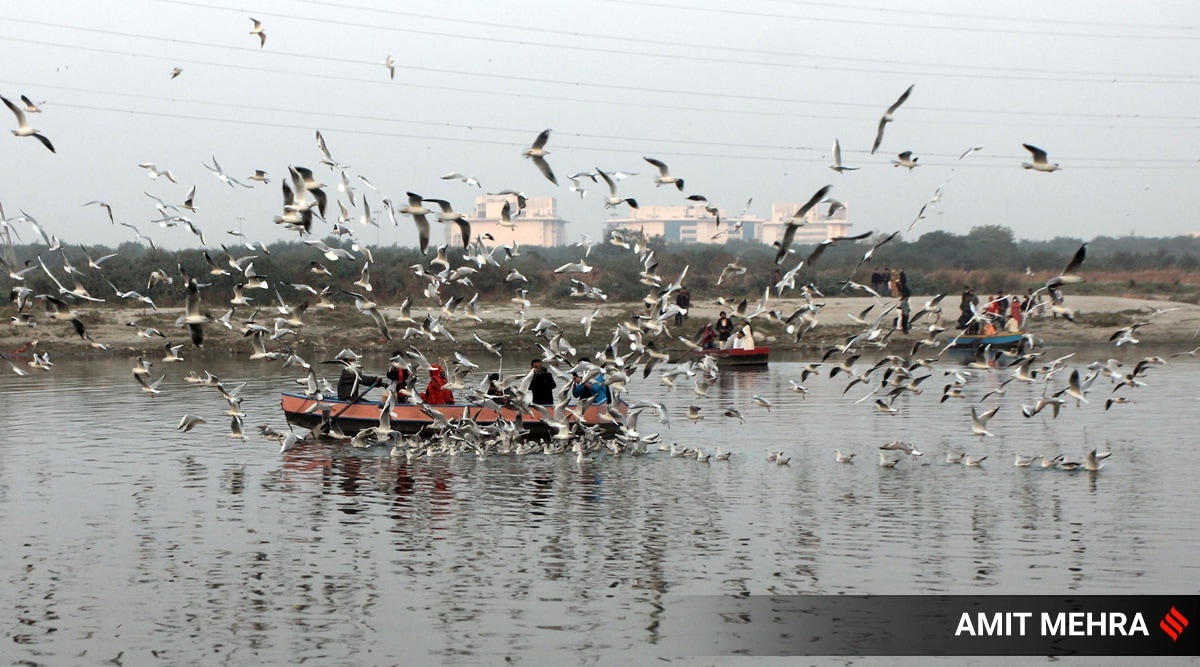 delhi weather today, delhi weather, delhi rains, delhi temperature, delhi winter, delhi news, IMD, Indian express
