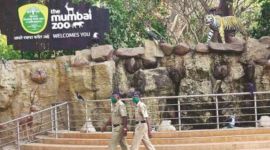 Mumbai Byculla zoo, BMC, Brihanmumbai Municipal Corporation BMC, Bharatiya Janata Party (BJP), Byculla zoo, Mumbai news, Mumbai city news, Mumbai, Maharashtra, Maharashtra government, India news, Indian Express News Service, Express News Service, Express News, Indian Express India News
