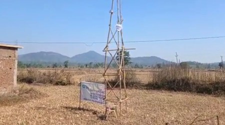 A rickety bamboo structure adorned with a banner that read 'BSNL 4G'. (Express photo)