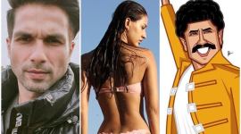 Disha Patani, Shahid Kapoor, Ranveer Singh 11 celebrity photos