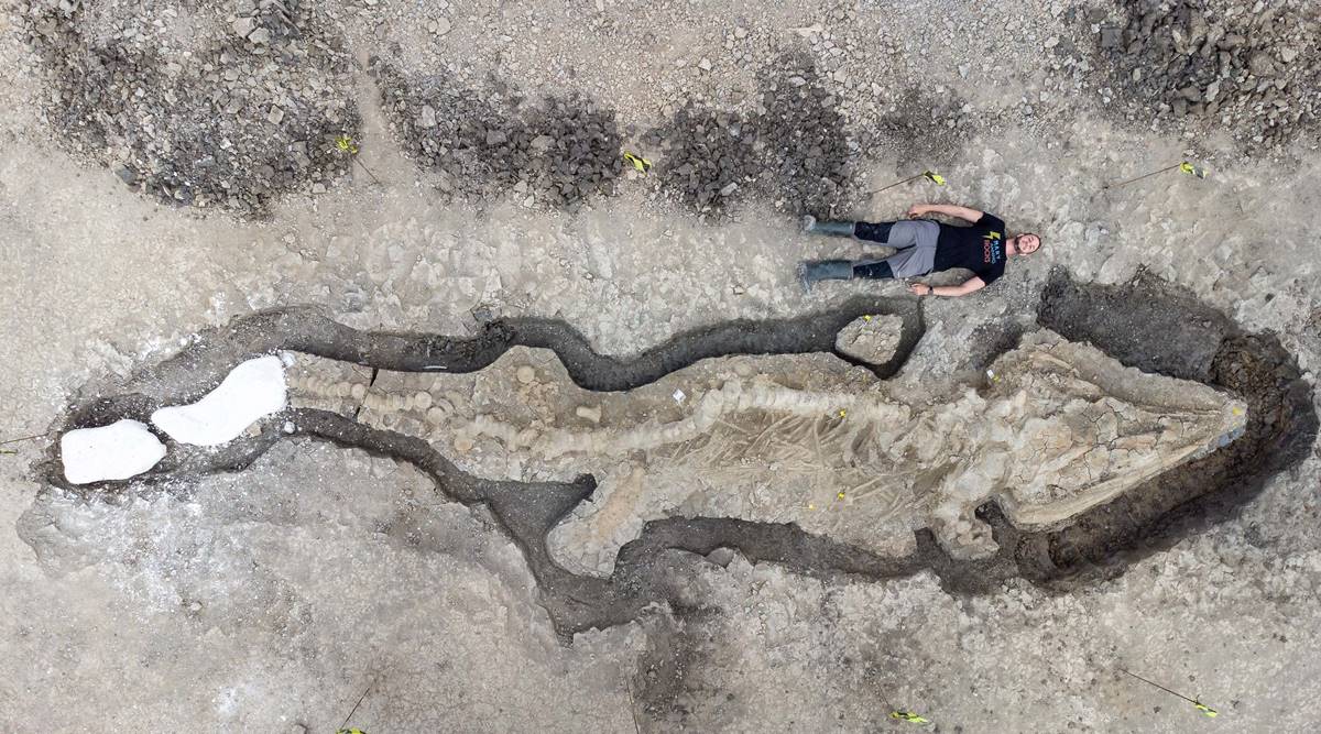A naturalist stumbled on an Ichthyosaur skeleton, the largest in UK history thumbnail