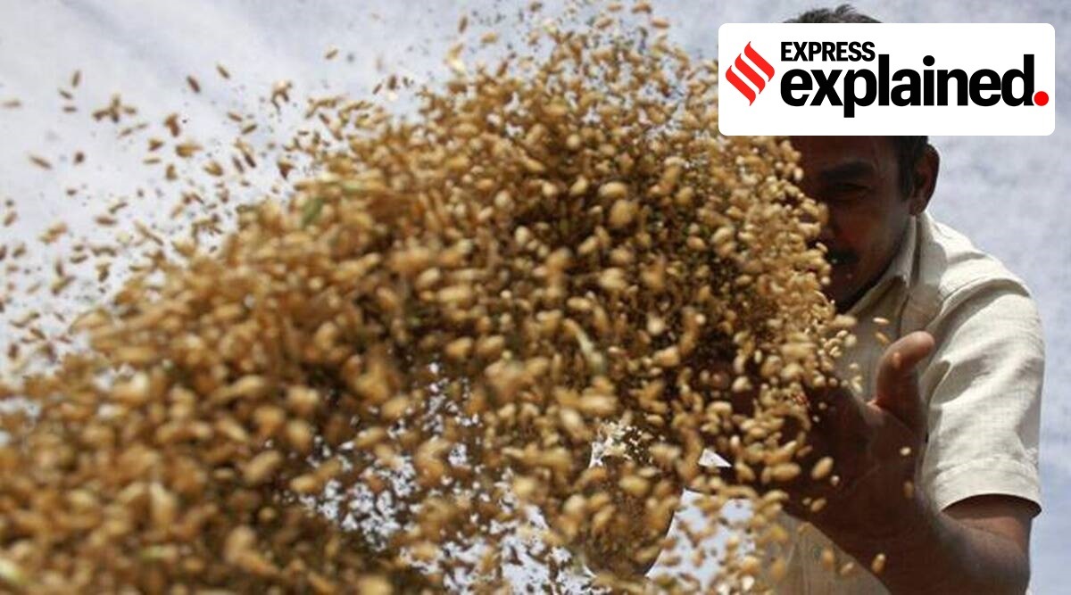 The combined food and fertiliser subsidy bill in the revised estimates for 2020-21 was a massive Rs 556,565 crore, representing 16.1% of the Centre’s entire Budget. (File)