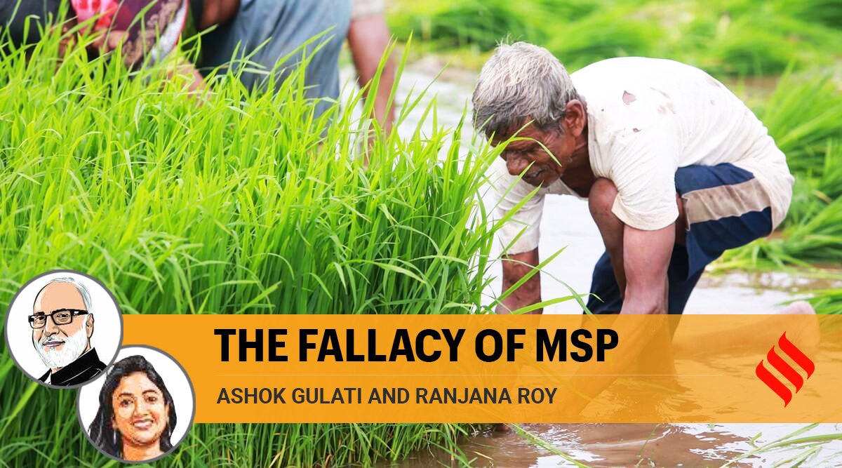 In this piece, we focus on one of the key demands of protesting farmers’ unions — a legal backing for minimum support prices. (File)