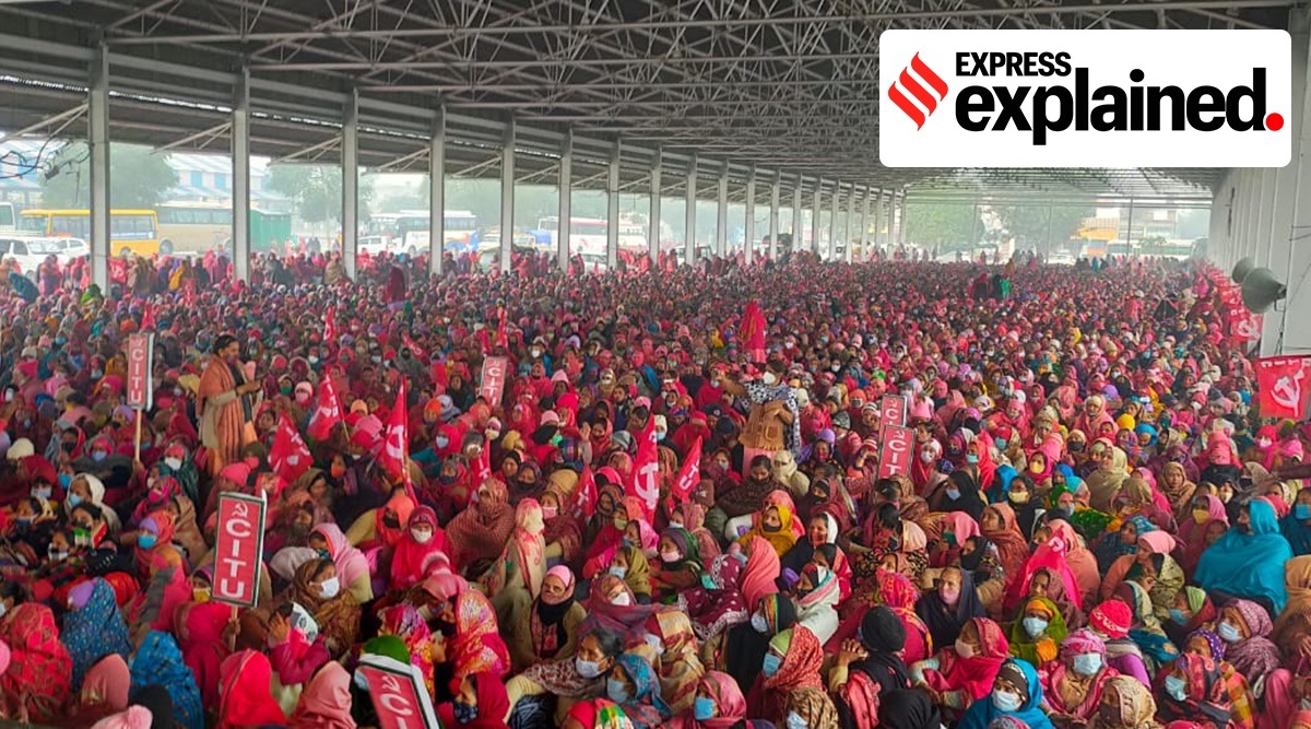 Haryana anganwadi workers attending a protest rally during their ongoing strike. (Express Photo)