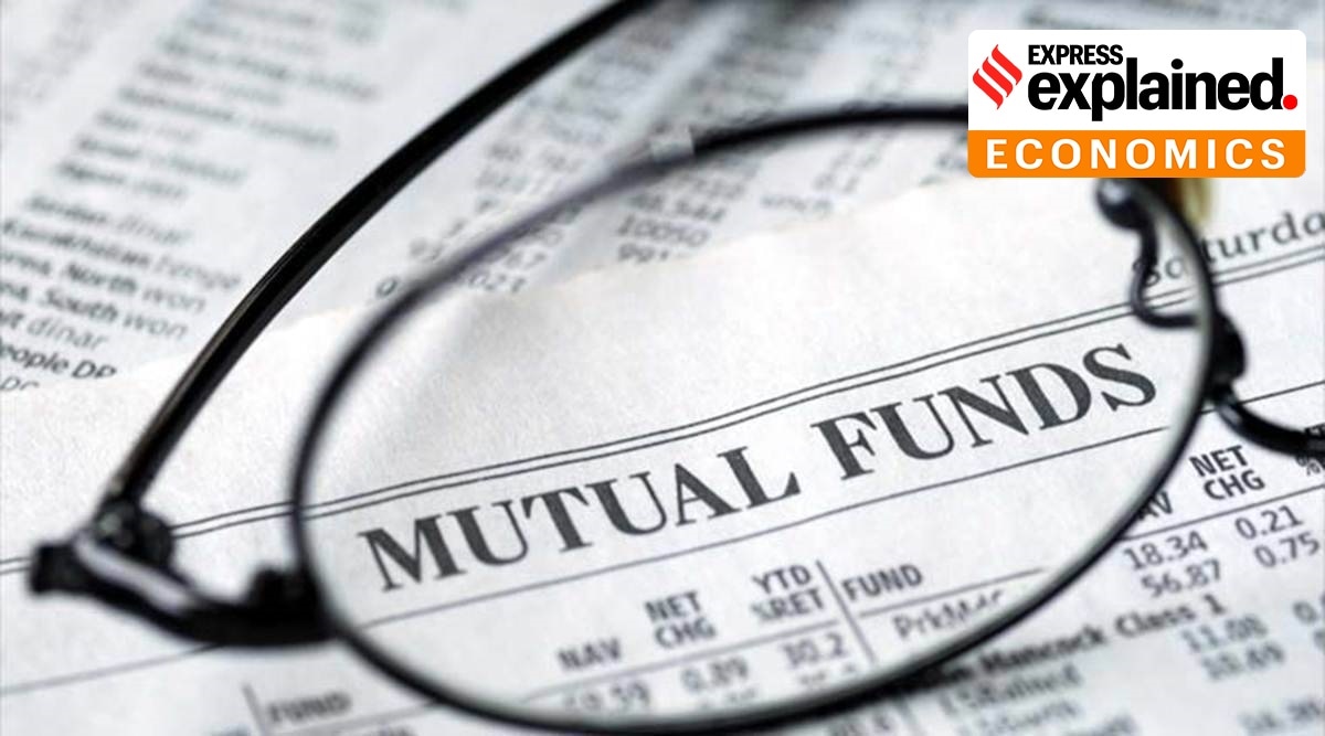 Foreign assets of mutual funds stood at Rs 20,865 crore ($2.9 billion) at the end of March 2021, a big increase from Rs 5,808 crore in March 2020, according to the RBI.