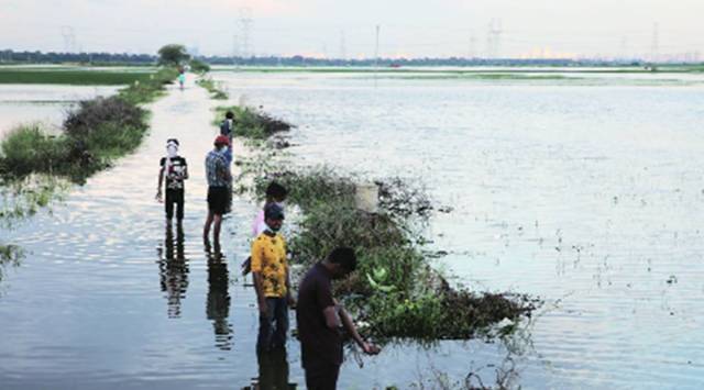 According to a water quality report on the Najafgarh drain from June, uploaded on the Delhi Pollution Control Committee’s website, the chemical oxygen demand in the drain was 346 mg/litre, above the standard of 250 mg/litre.