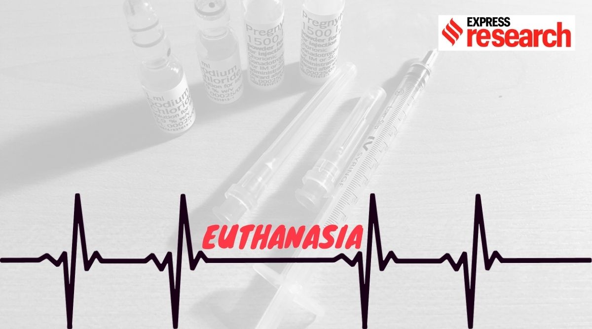 should euthanasia be legalised in australia essay