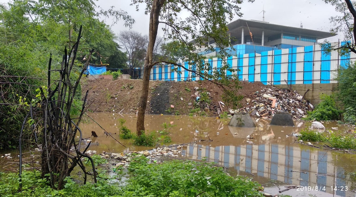Salim Ali Biodiversity Park: Growing anthropogenic pressure chokes this green belt in Pune