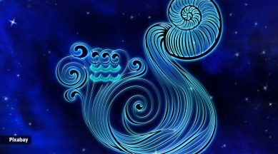 zodiac, zodiac signs, Aquarius, how will 2022 be for Aquarius, what can Aquarius expect in 2022, Sunday zodiac, Aquarius 2022 predictions, indian express news