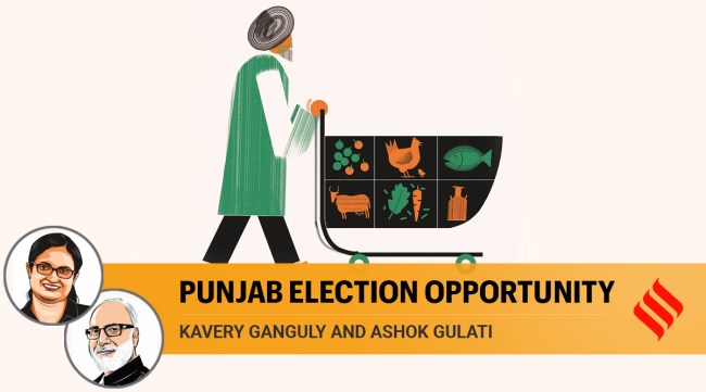 While fruits and vegetables account for 7.4 per cent of the value of the output of agriculture and allied sectors, livestock accounts for 31.5 per cent and fisheries less than 1 per cent. (Illustration by C R Sasikumar)