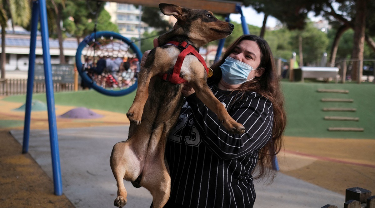 Reuters Dog Custody