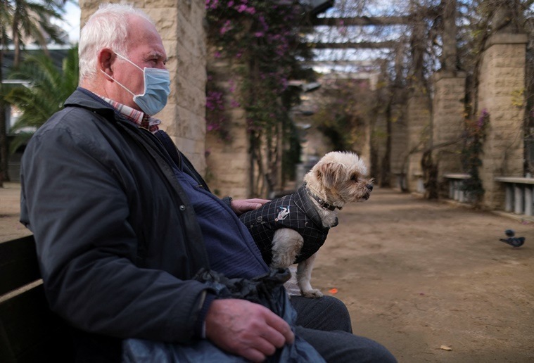 Reuters- Dog custody in Spain