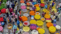 In pictures: How Bengaluru celebrated Pongal and Makar Sankranti 2022