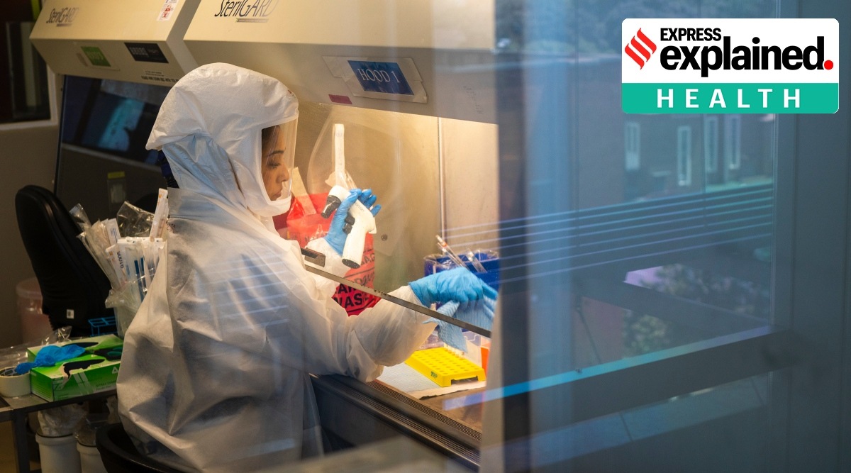 Scientists at the Africa Health Research Institute in Durban, South Africa, work on the omicron variant Dec. 15, 2021. (AP Photo/Jerome Delay, File)