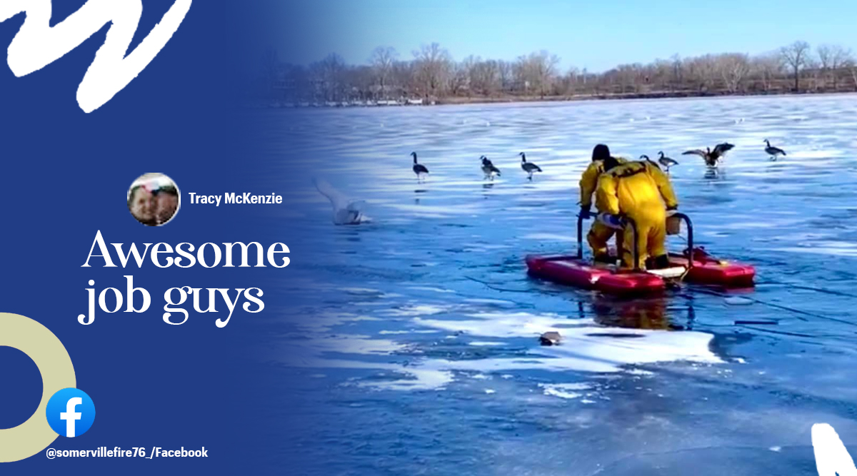 Firefighters rescue swan stuck in frozen river in USA’s Massachusetts ...