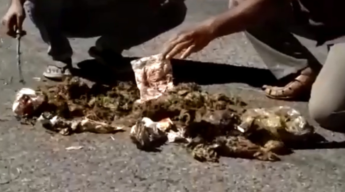 A video of CWCT president Muruganandam Thiruganasambandam and other members pulling out waste materials from the dung pile has gone viral on social media. 
