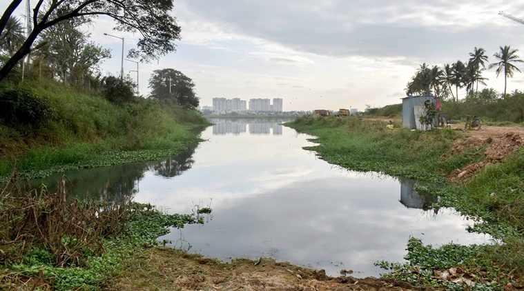 Lakes of Bengaluru: Slow rejuvenation work at Varthur raises concern ...