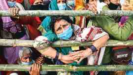 Calcutta High Court, Gangasagar, COVID-19, Mamata Banerjee, Mamata Banerjee govt, Covid norms, Covid rules, West Bengal, Kolkata, West Bengal news, Kolkata news, India news, Indian Express News Service, Express News Service, Express News, Indian Express News