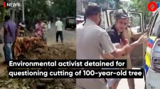 Environmental Activist Detained For Questioning Cutting of 100-Year-Old Tree