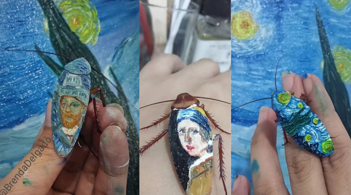 Artist paints on dead cockroaches, dead insects as canvas, starry nights on cockroaches, Van Gogh, bizarre artworks, Indian Express