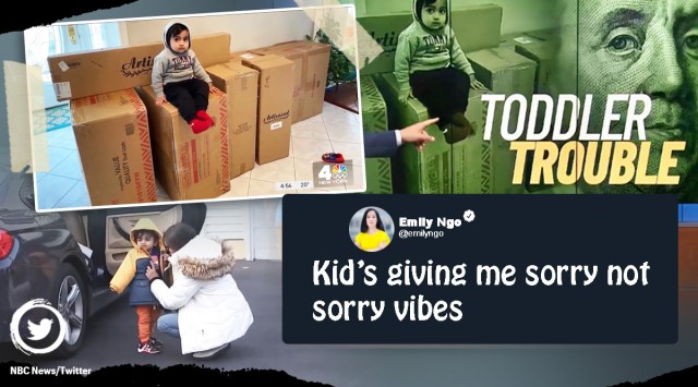 toddler accidentally orders furniture, 2 year old orders furniture worth lakhs, Indian Express