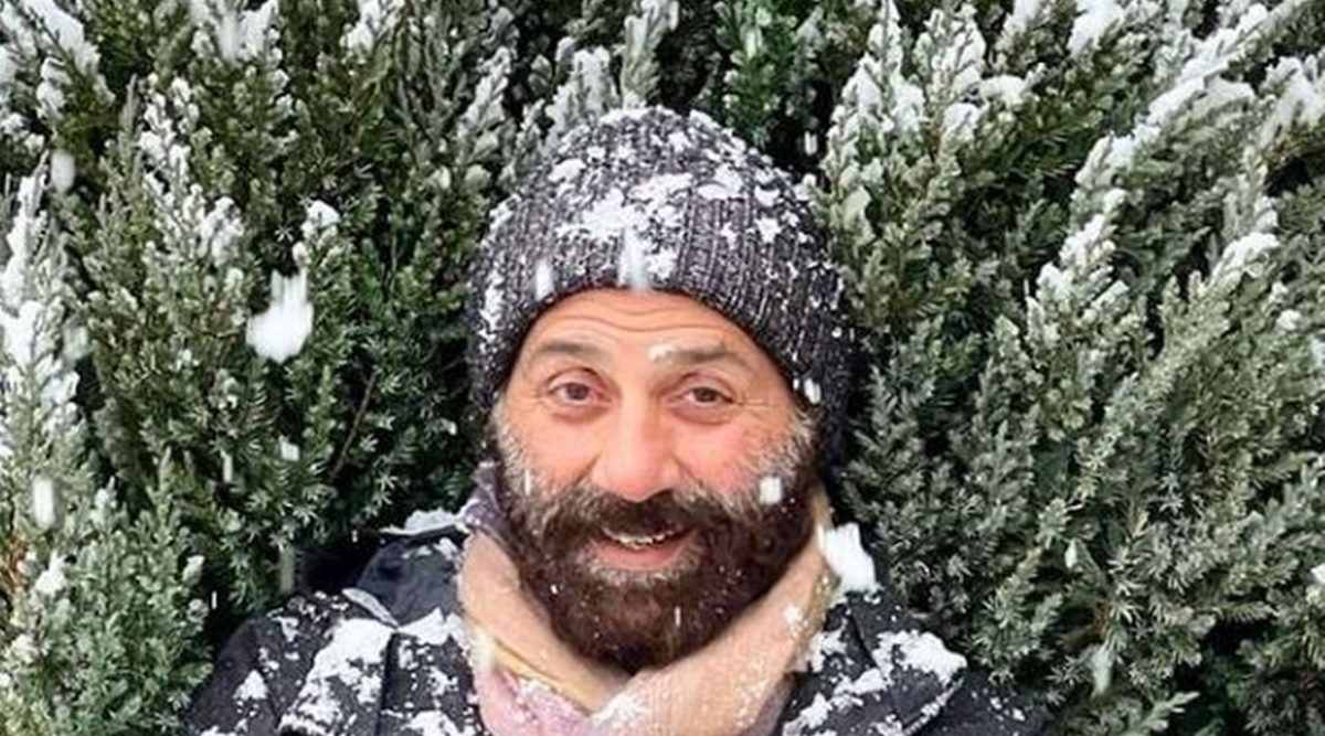 sunny deol