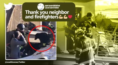 Dog saved after 6 days, dog rescue Seattle, Good News, Indian Express